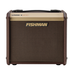 PRO-LBT-400 Fishman Loudbox Micro, 40 watts