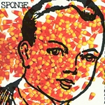 Sponge Rotting Pinata