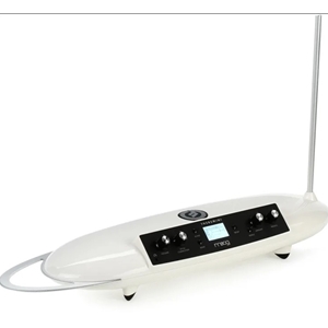 Moog Theremini