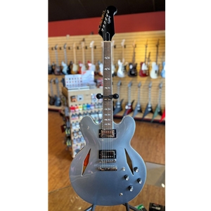 CLEARANCE Epiphone Dave Grohl DG-335, case included.